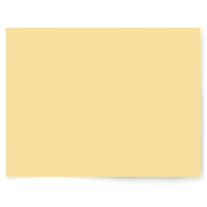 Yellow Solid Colour | Single-sided Backdrops