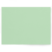 Mint Green and Blue double-sided photography vinyl backdrop - backdrop collective