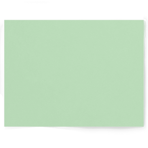 Mint Green and Blue double-sided photography vinyl backdrop - backdrop collective