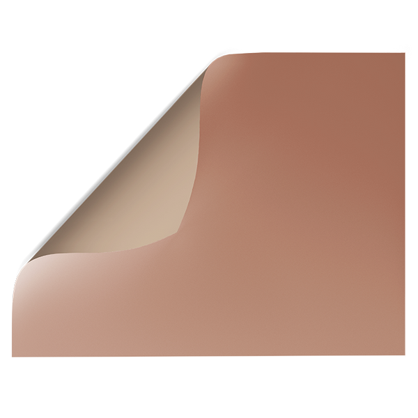 Beige Solid Colour | Double-sided Backdrops