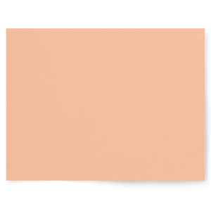 Best Selling Cake Backdrop Collection | Photography Backdrops
