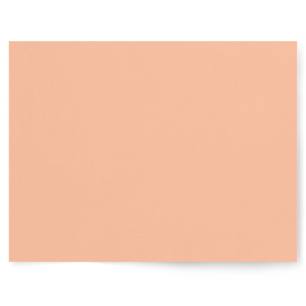 Best Selling Cake Backdrop Collection | Photography Backdrops