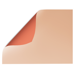Orange & Peach Solid Colour | Double-sided Backdrops