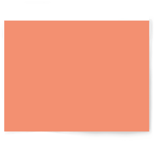 Peach + Orange Solid Colour | Single-sided Backdrops