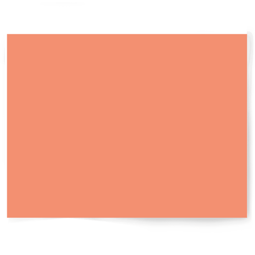 Peach + Orange Solid Colour | Single-sided Backdrops