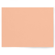 Pastel Peachy Keen | Single-sided Backdrop