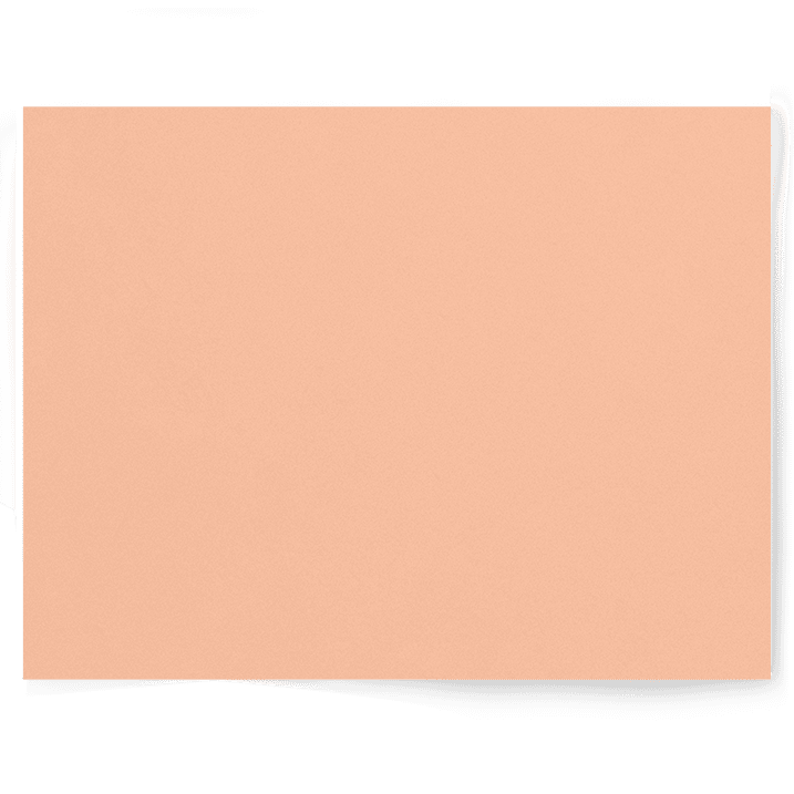 Pastel Peachy Keen | Single-sided Backdrop
