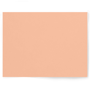 Peach + Orange Solid Colour | Single-sided Backdrops