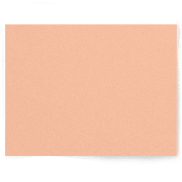 Peach + Orange Solid Colour | Single-sided Backdrops