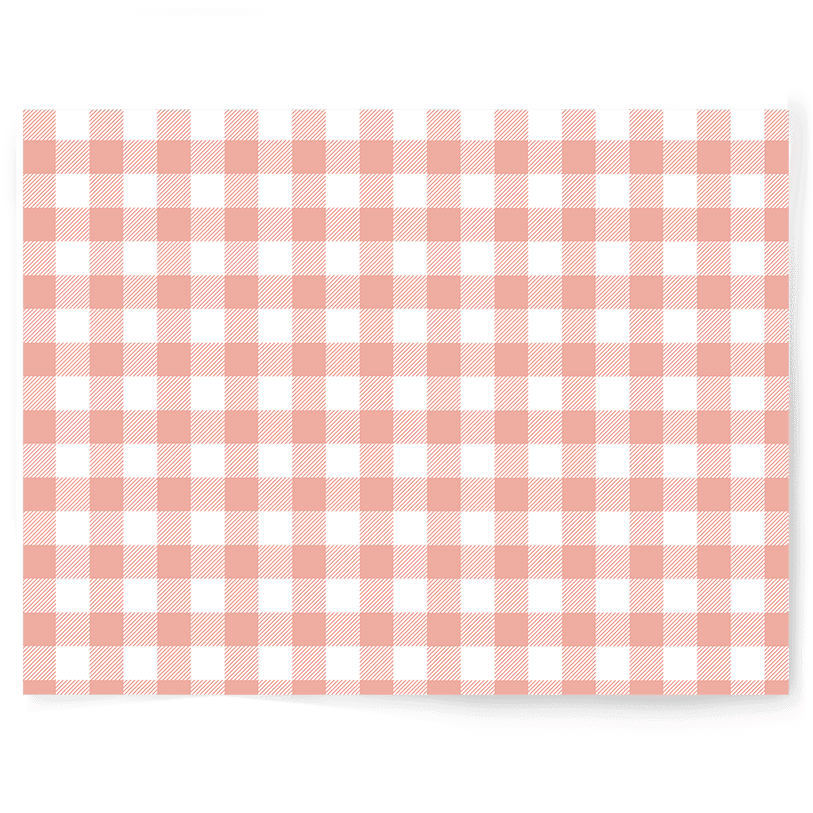 neutral beige and pink gingham vinyl photography double sided backdrop melbourne australia