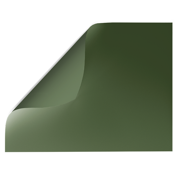 Green Solid Colour | Double-sided Backdrops