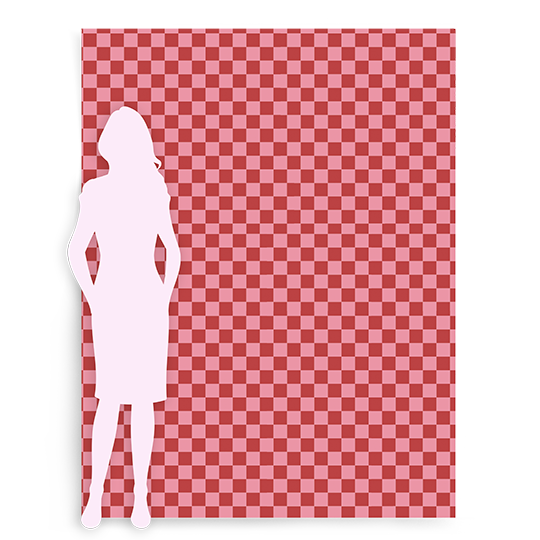 Red + Pink Check | Media Wall