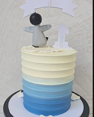 Best Selling Cake Backdrop Collection | Photography Backdrops