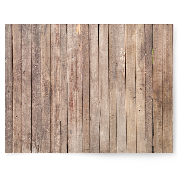 Timber | Single-sided Backdrops