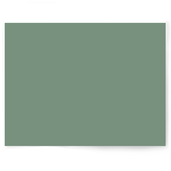 Green Solid Colour | Single-sided Backdrops