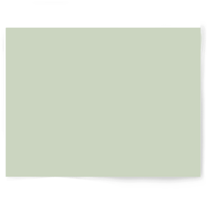 Green Solid Colour | Single-sided Backdrops