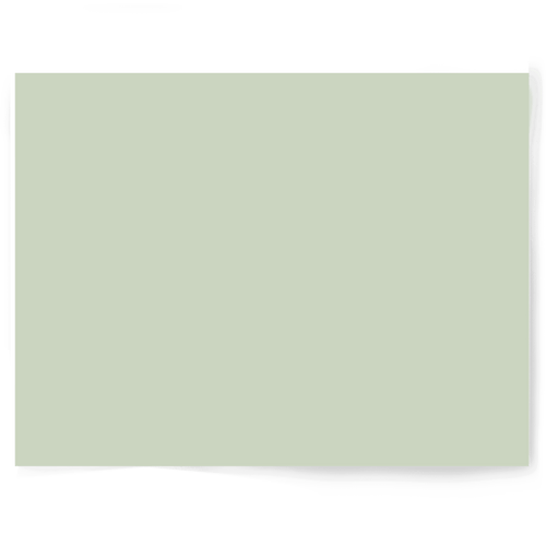Green Solid Colour Single-sided Backdrop Range