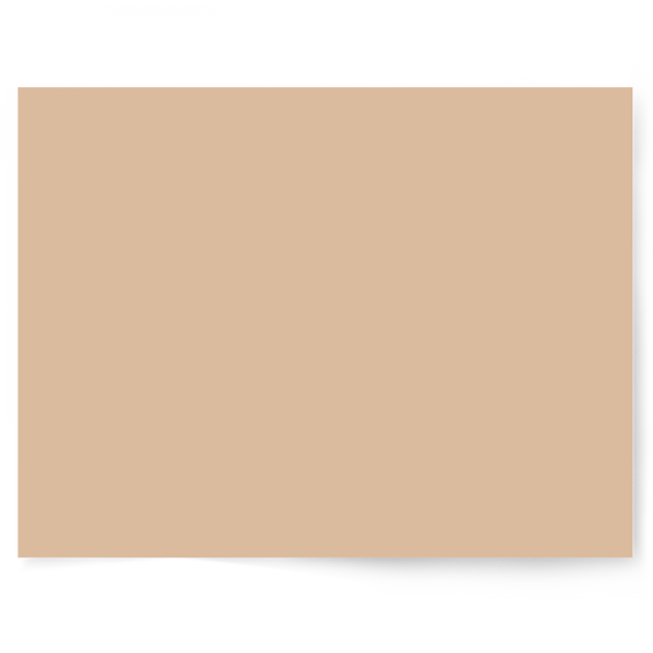 Beige + Brown Solid Colour | Single-sided Backdrops
