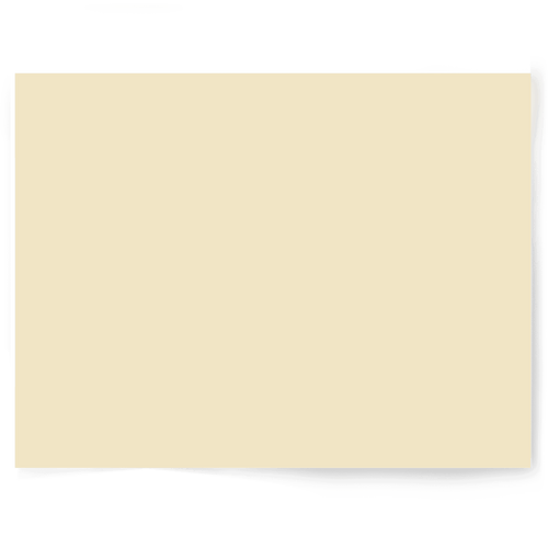 Beige + Brown Solid Colour Single-sided Backdrop Range