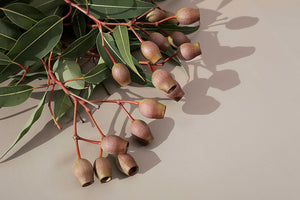 Beige + Brown Solid Colour | Single-sided Backdrops
