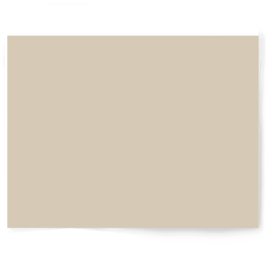 Beige + Brown Solid Colour | Single-sided Backdrops