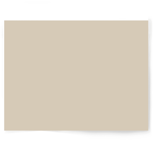Beige + Brown Solid Colour Single-sided Backdrop Range