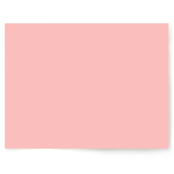 Pink Solid Colour Single-sided Backdrop Range