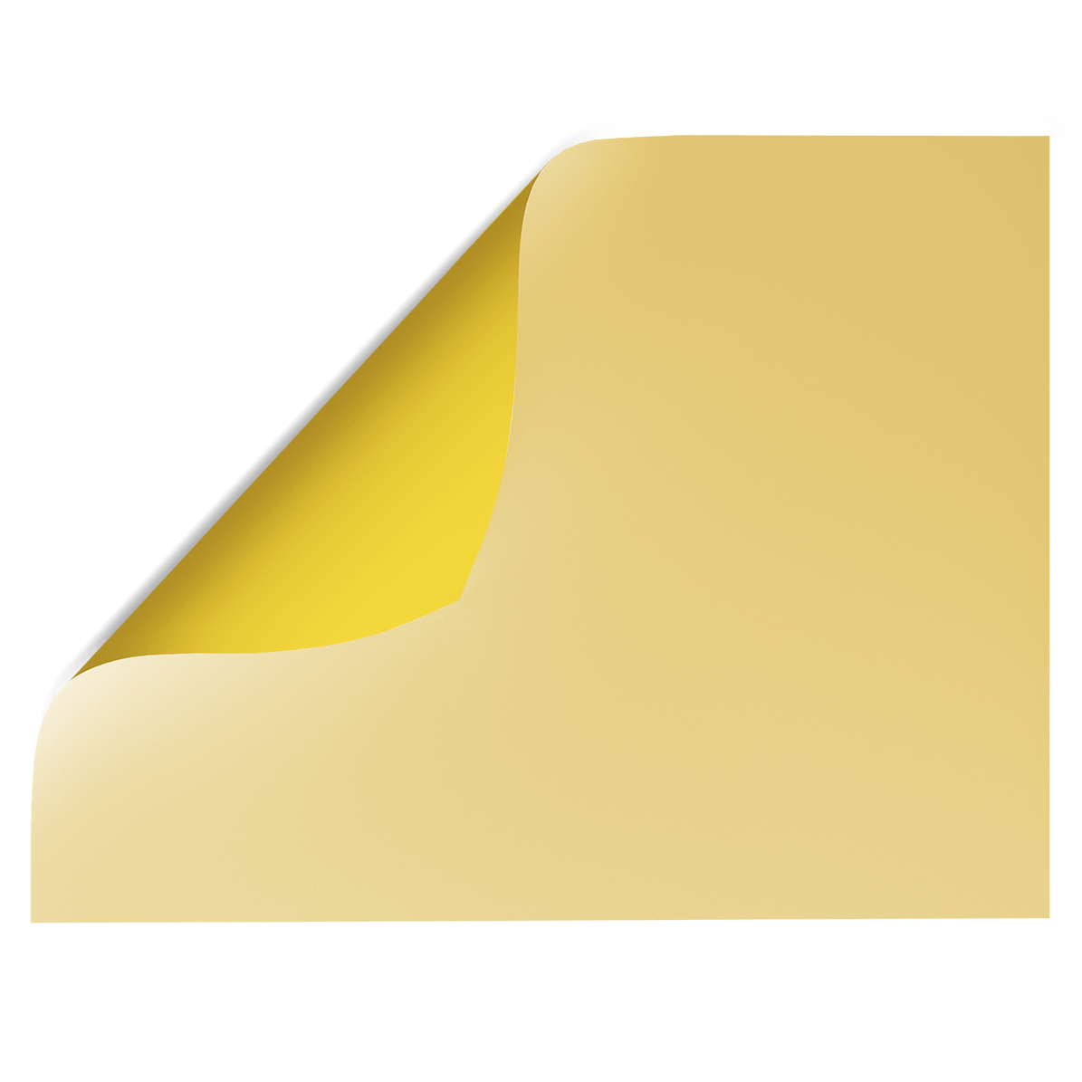 Sunshine | Yellow Double-sided Backdrop