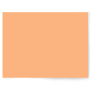 Peach + Orange Solid Colour | Single-sided Backdrops