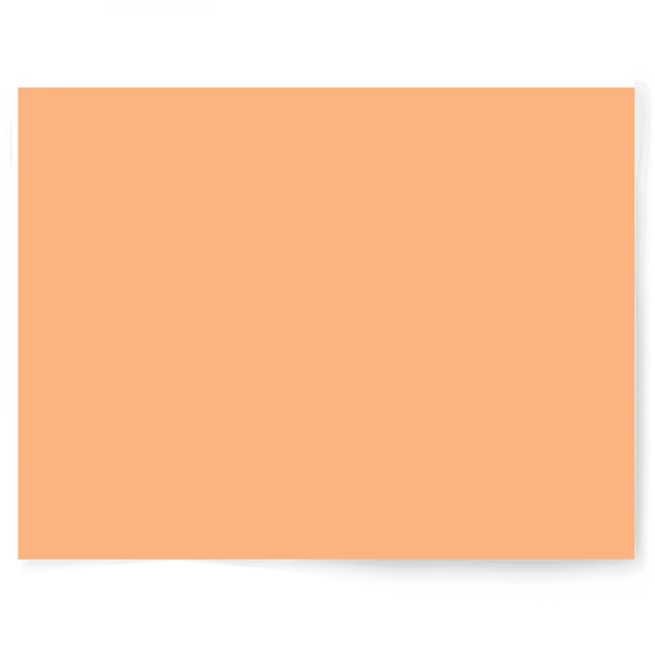 Peach + Orange Solid Colour | Single-sided Backdrops