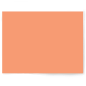 Peach + Orange Solid Colour | Single-sided Backdrops