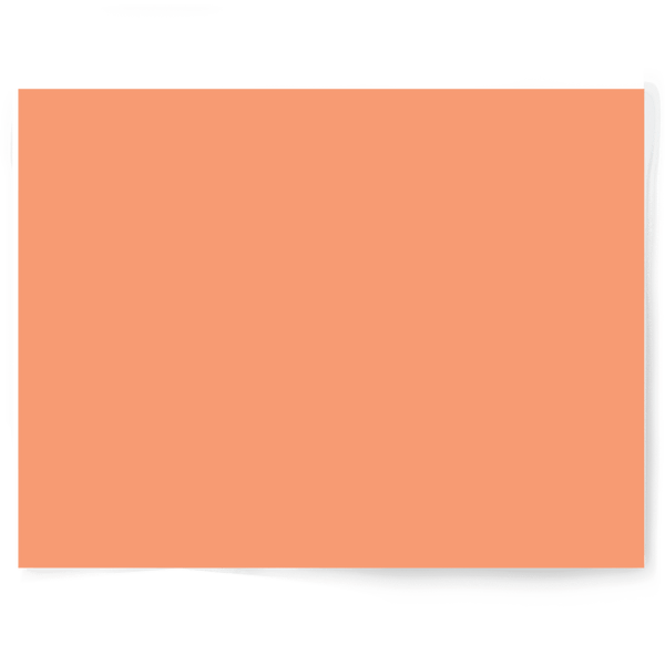 Peach + Orange Solid Colour | Single-sided Backdrops
