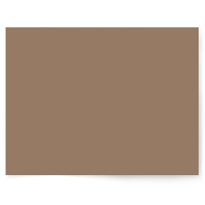Beige + Brown Solid Colour | Single-sided Backdrops