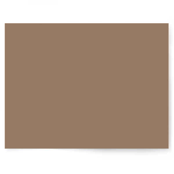 Beige + Brown Solid Colour | Single-sided Backdrops