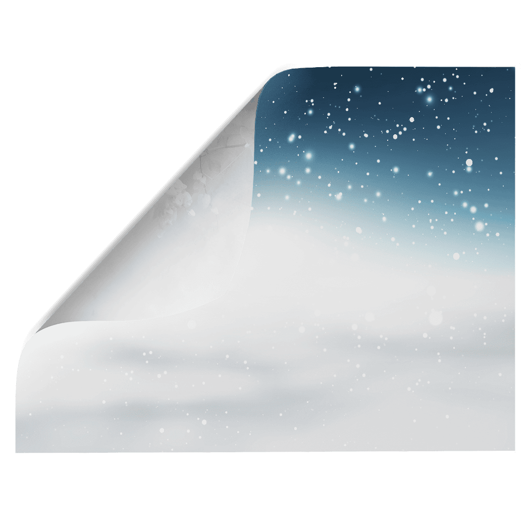 winterwonderland2-Ecom.png