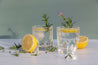 lemon and rosemary cocktail photographed on Sage green double-sided vinyl photography backdrop