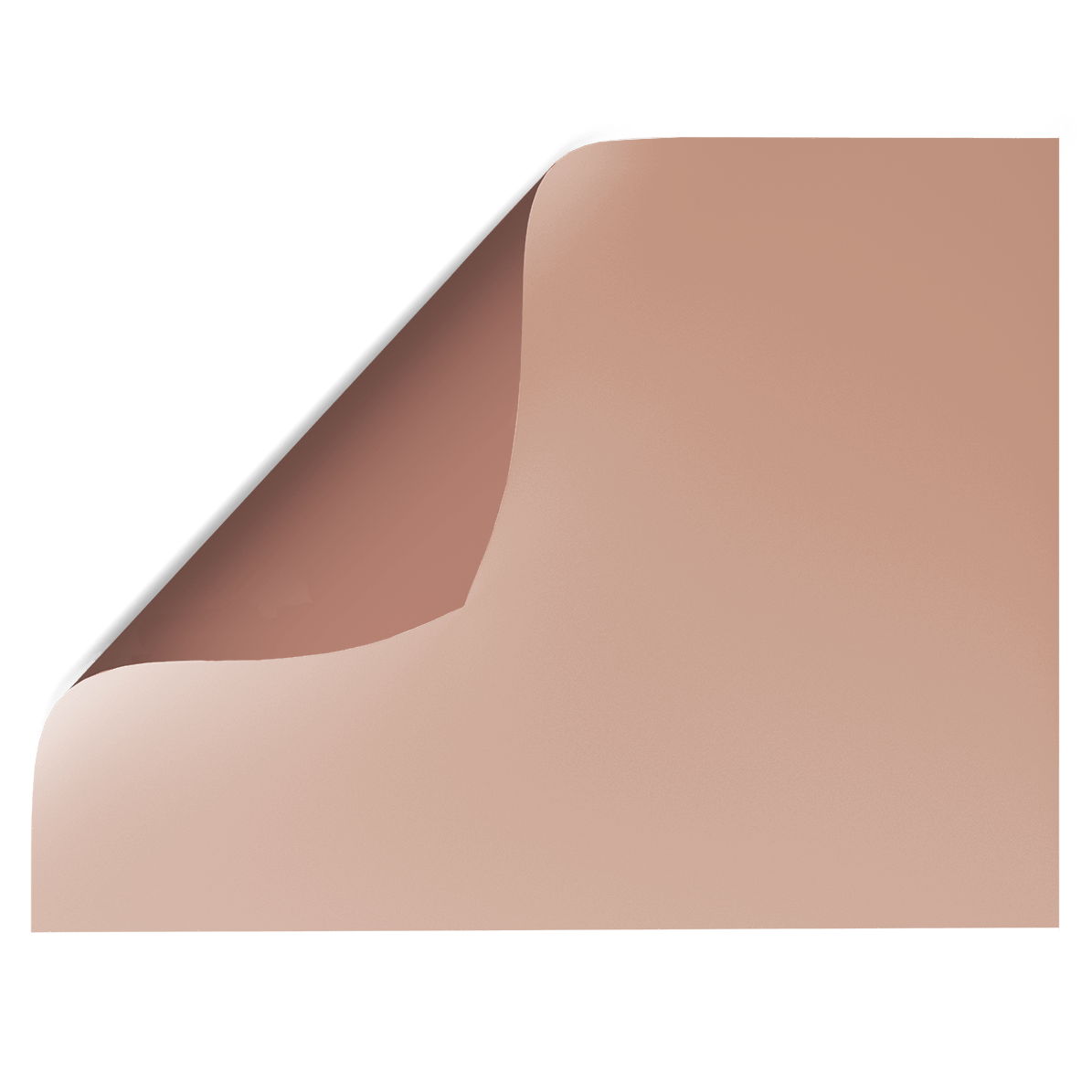Dusty Rose | Double-sided Backdrop