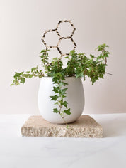 Beige Photography vinyl backdrop and travertine stone prop for photography with plants Backdrop Collective Melbourne