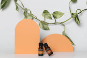 orange arch and semi circle acrylic photography props with essential oil bottles and green vine - backdrop collective melbourne australia