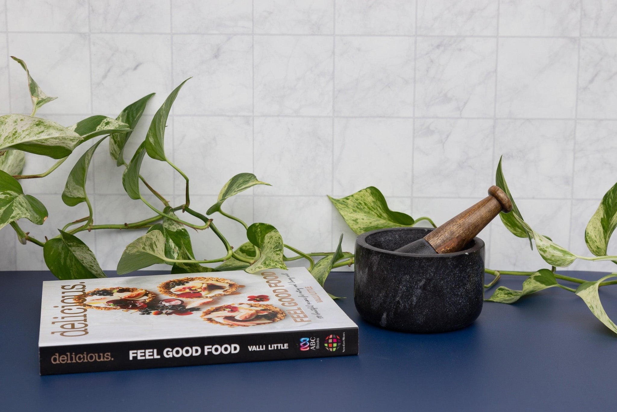 square granite marble tile and blue double-sided backdrops photographed in a kitchen with a plant - Backdrop Collective