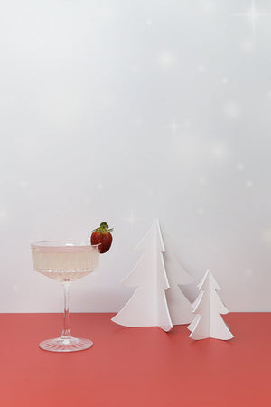 Small Acrylic Christmas Tree | Photography Props