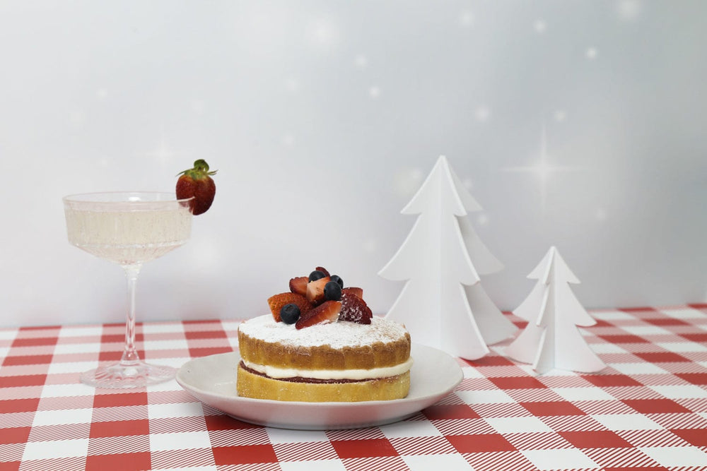 Large Acrylic Christmas Tree | Photography Props