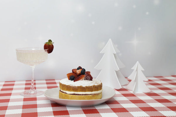 Large Acrylic Christmas Tree | Photography Props