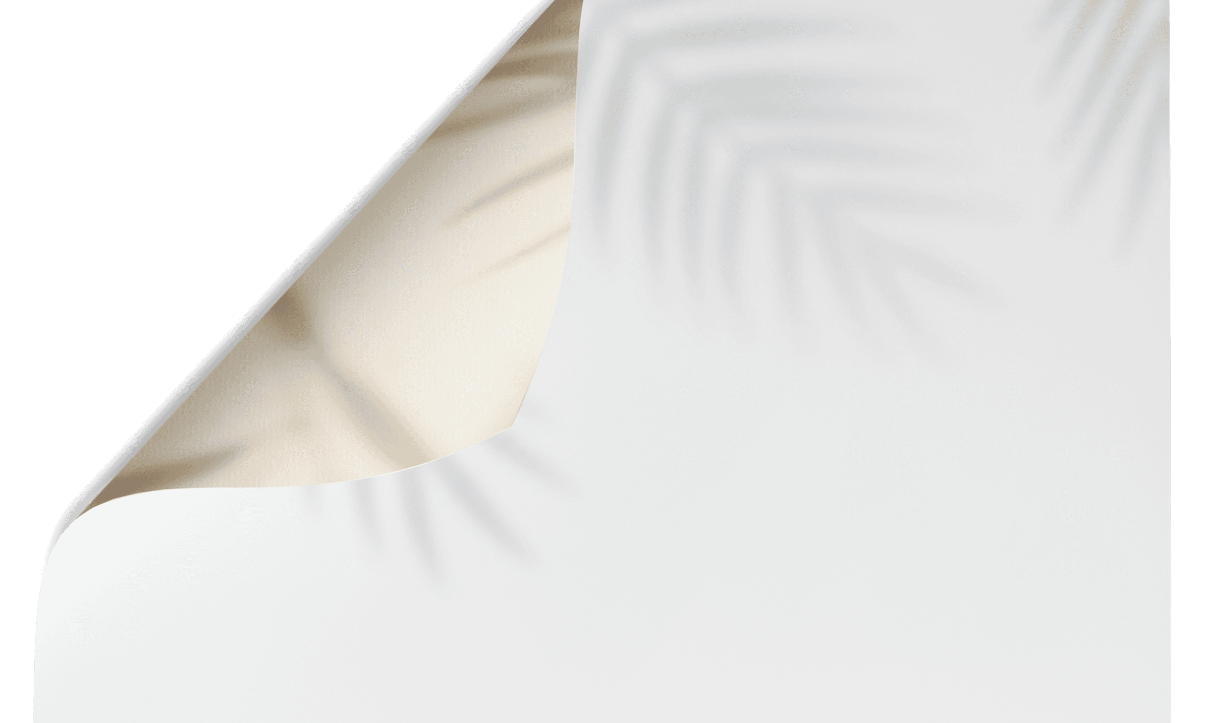 palm tree Shadow pattern double-sided vinyl photography backdrop - backdrop collective australia