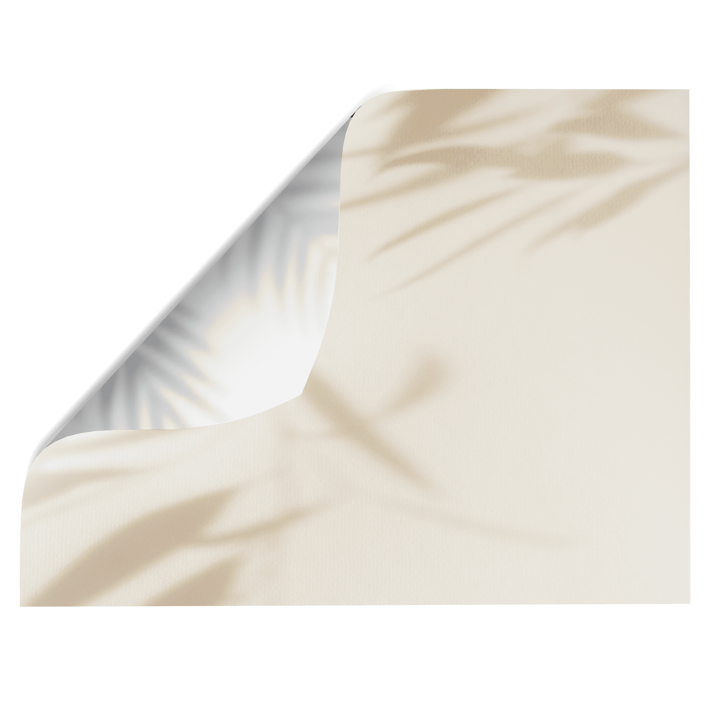 beige plant Shadow pattern double-sided vinyl photography backdrop - backdrop collective australia