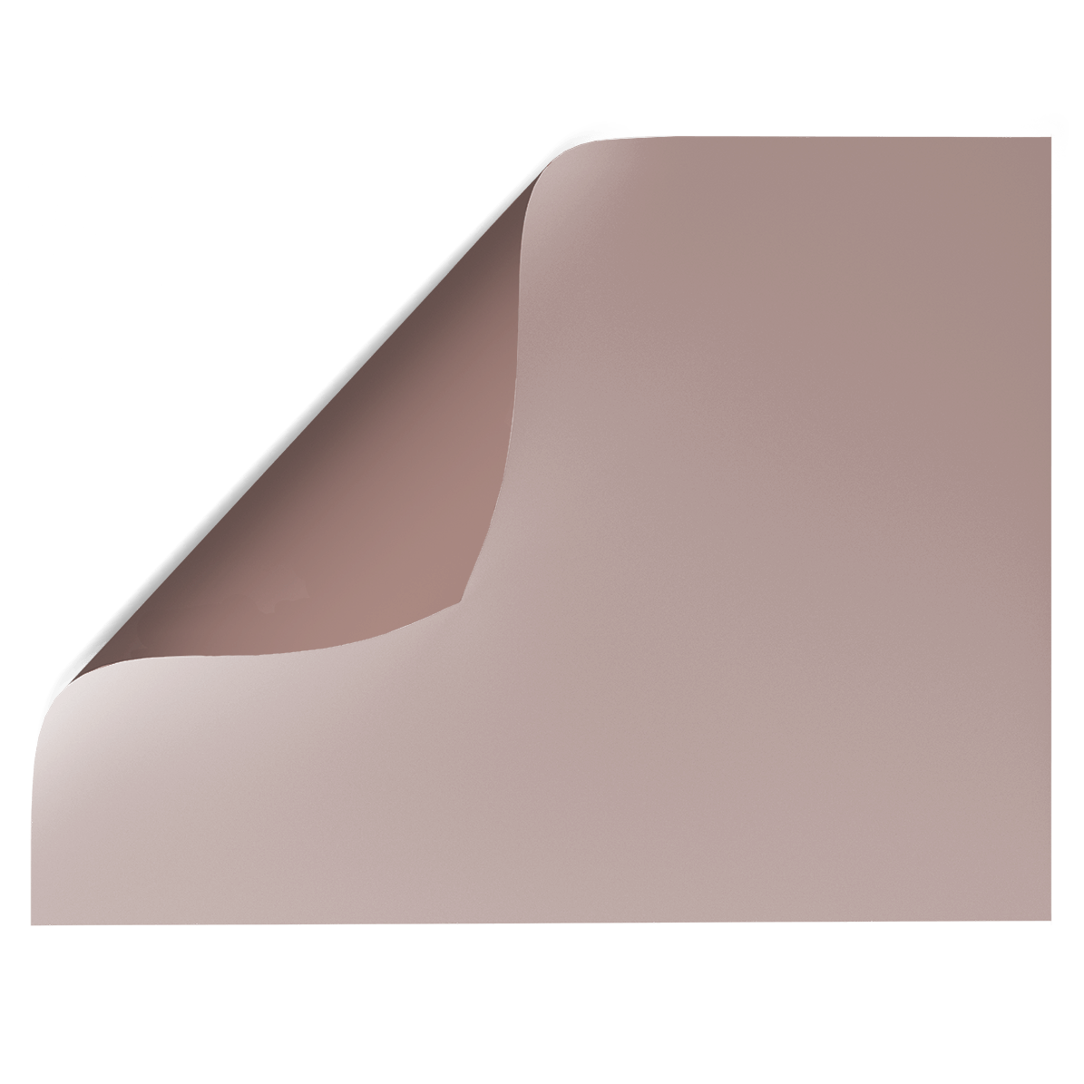 Taupe | Double-sided Backdrop