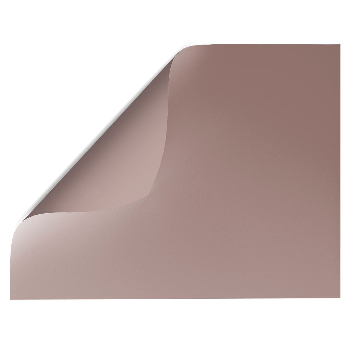 Taupe | Double-sided Backdrop