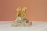 naked lady candles on Travertine stone photography prop stack with caramel backdrop - backdrop collective australia