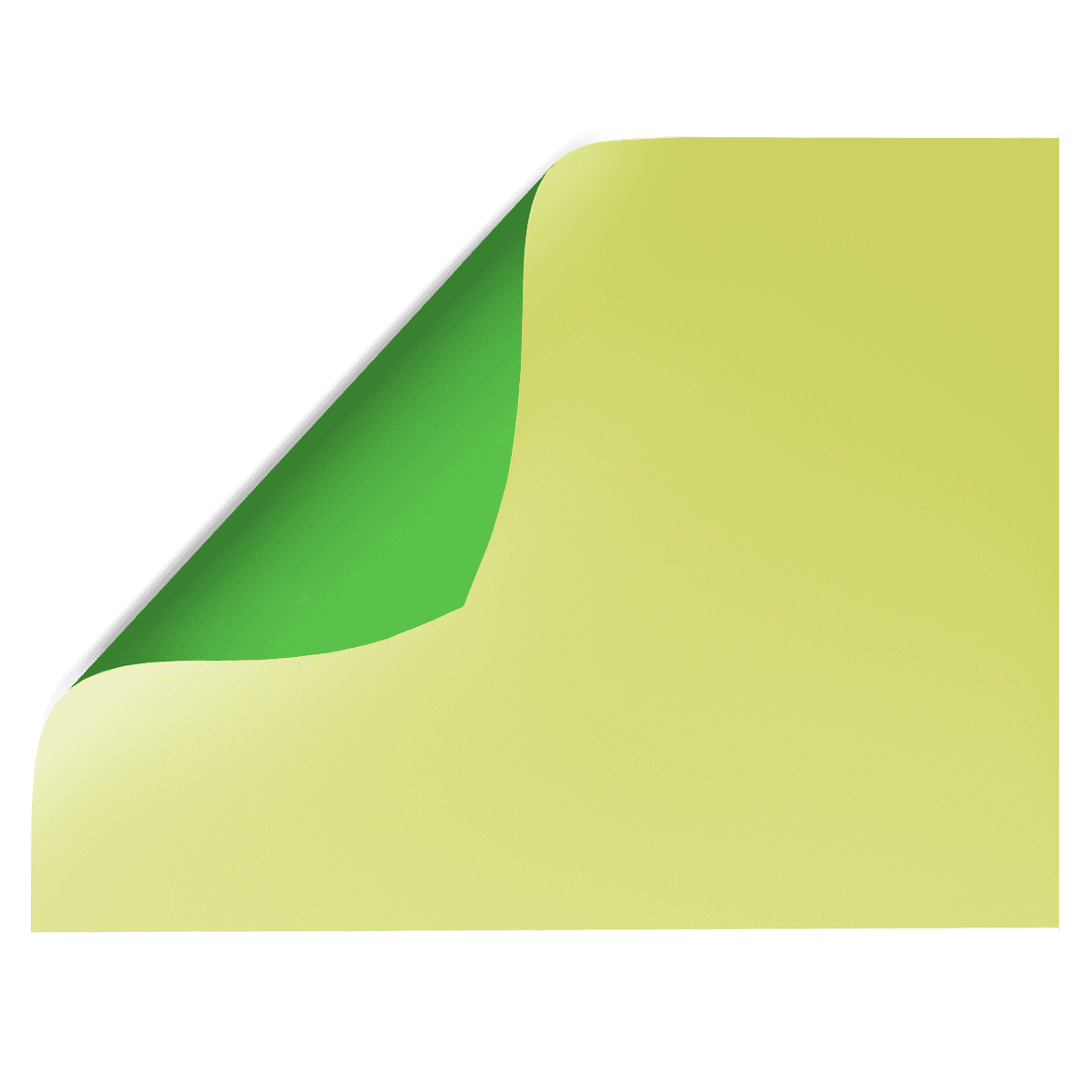 neon fluro green and yellow citrus backdrop - backdrop collective