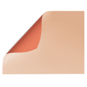 Peachy Keen light peach orange Double-sided waterproof Backdrop - Backdrop Collective